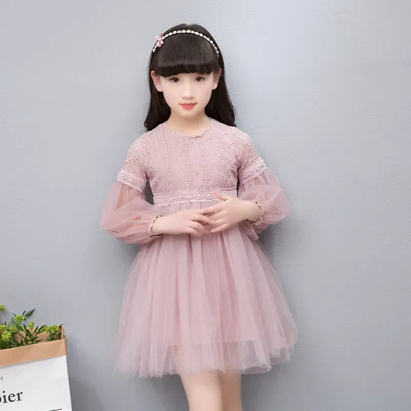 Elegant Lace Tulle Princess Dress