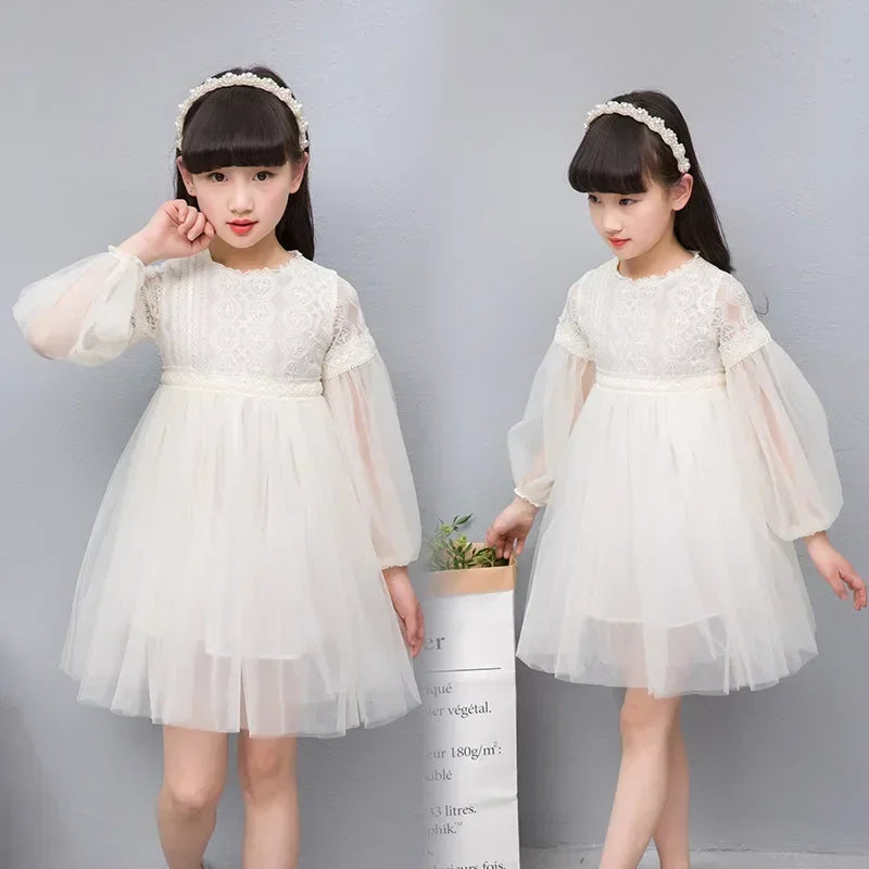 Elegant Lace Tulle Princess Dress