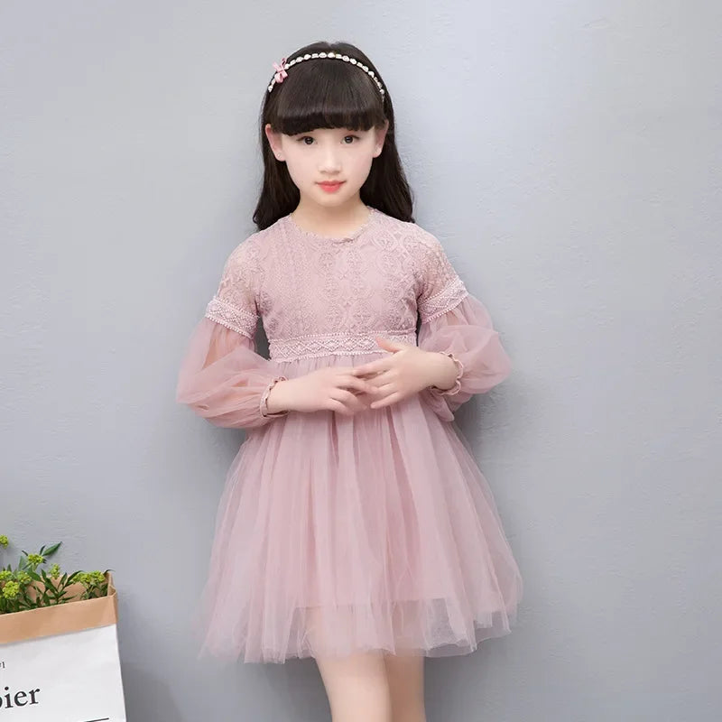 Elegant Lace Tulle Princess Dress
