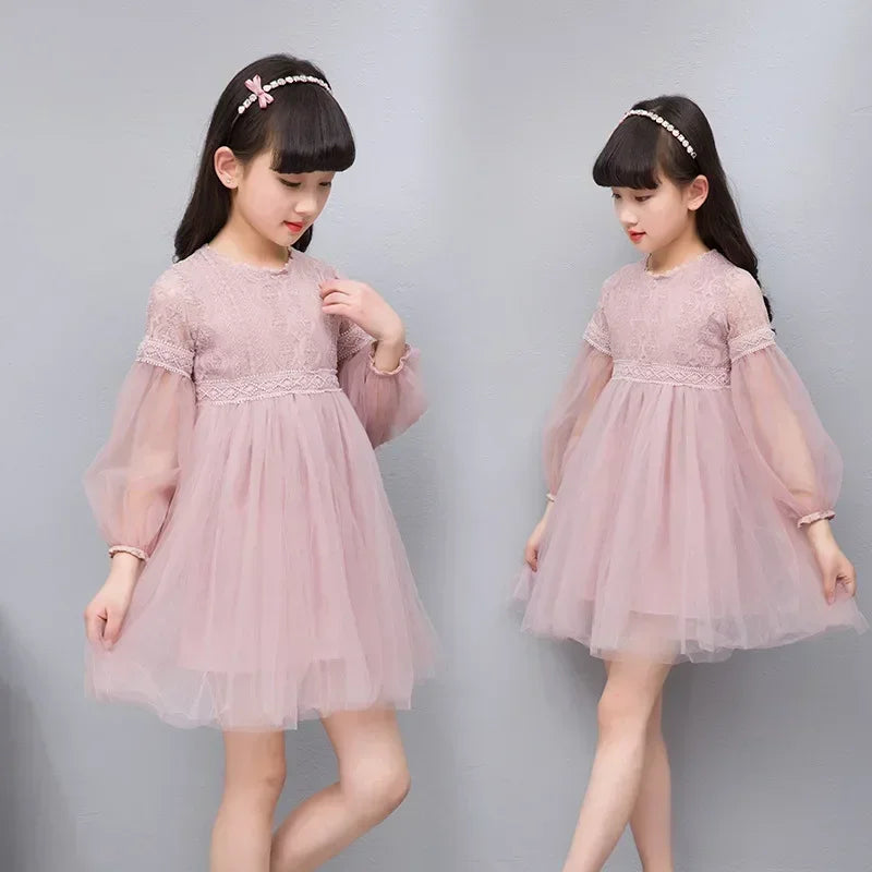 Elegant Lace Tulle Princess Dress
