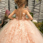 Party Long Tulle Dress with Butterfly Appliques