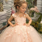 Party Long Tulle Dress with Butterfly Appliques