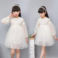 Elegant Lace Tulle Princess Dress