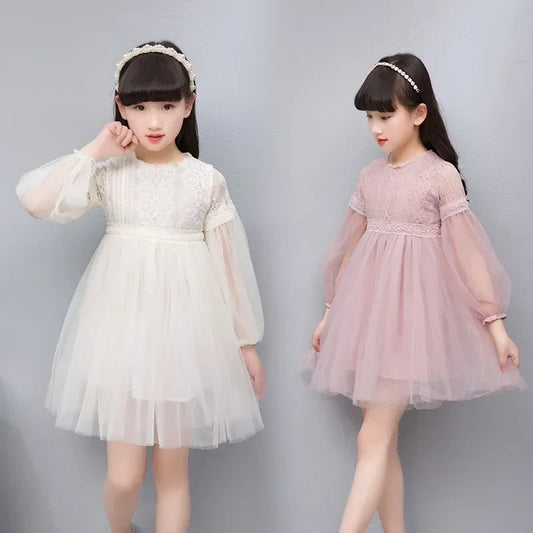 Elegant Lace Tulle Princess Dress