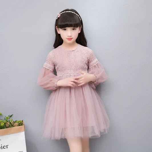 Elegant Lace Tulle Princess Dress