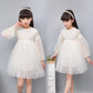 Elegant Lace Tulle Princess Dress